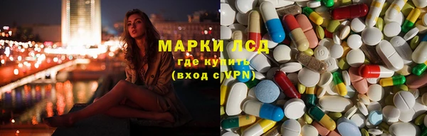 прущие грибы Бугульма