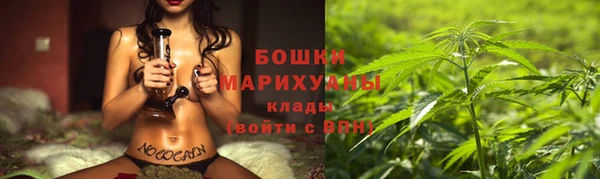прущие грибы Бугульма