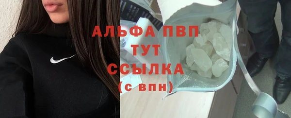ГАЛЛЮЦИНОГЕННЫЕ ГРИБЫ Бородино
