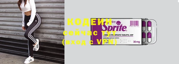 прущие грибы Бугульма