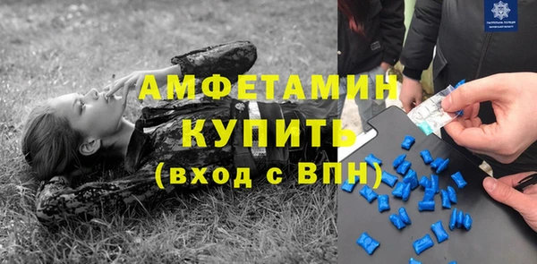 прущие грибы Бугульма