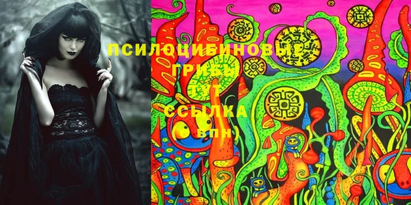 ГАЛЛЮЦИНОГЕННЫЕ ГРИБЫ Бородино