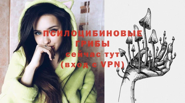 прущие грибы Бугульма