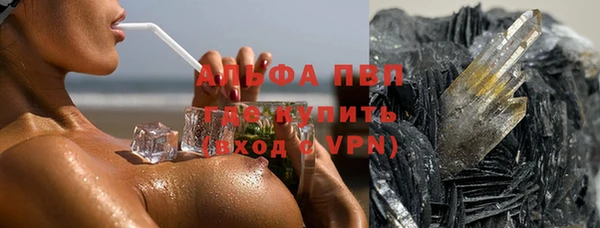 ГАЛЛЮЦИНОГЕННЫЕ ГРИБЫ Бородино